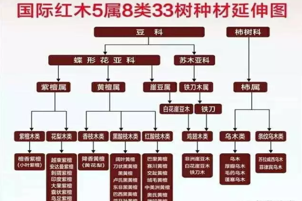 黃花梨、亞花梨、草花梨哪個才是真紅木