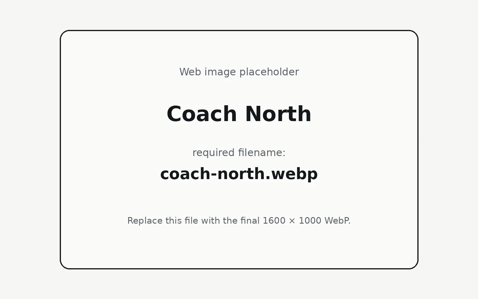 Coach North landing page template preview