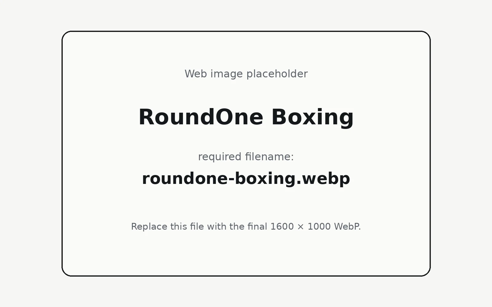 RoundOne Boxing landing page template preview