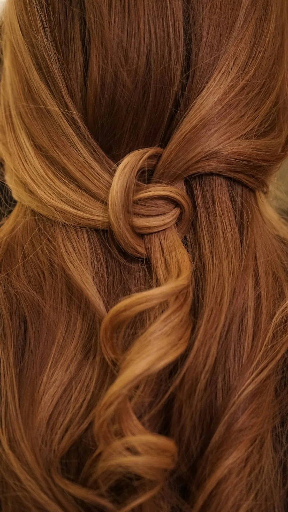 Auburn hair arranged in a loose central knot